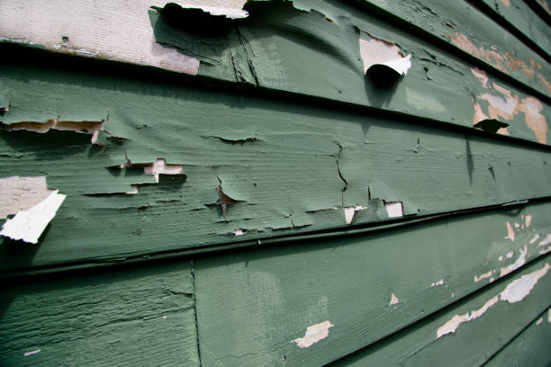 Same-Day Junk Removal Services in Grain Valley, MO