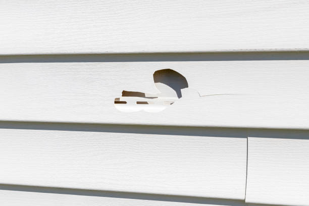 Best Shed Removal  in Grain Valley, MO