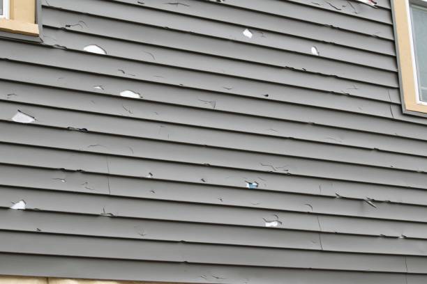 Best Recycling Services for Junk  in Grain Valley, MO